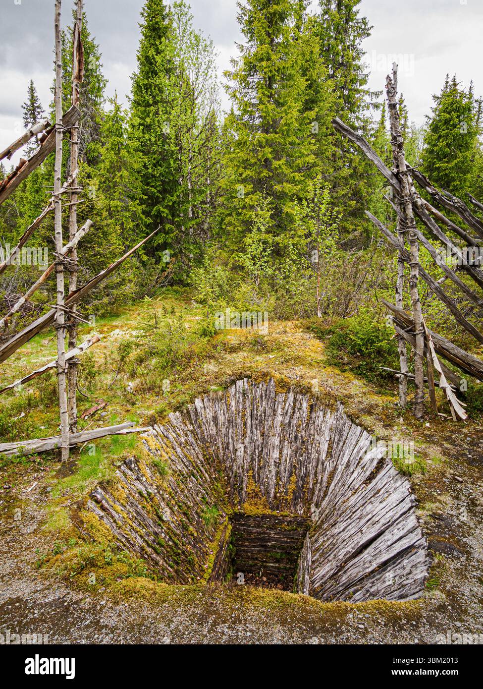 Trappola di alci o alci che sarebbe coperta di bastoni e neve in inverno con recinzione guida in una foresta nella regione di Valdres nella Norvegia centrale Foto Stock