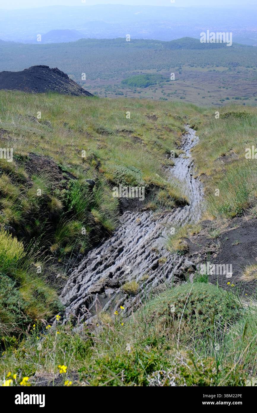 La lava basaltica a forma di ruscello scorre nel prato alto del Parco dell'Etna a tarda primavera, Sicilia, Italia Foto Stock