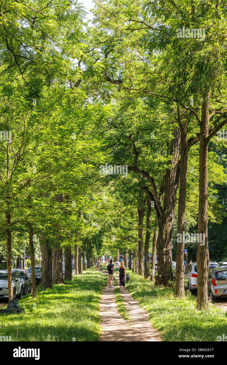 La riserva verde centrale di Volksgartenstrasse nel distretto di Neustadt-Sued, Colonia, Germania. Der gruene Mittelstreifen der Volksgartenstrasse in d Foto Stock