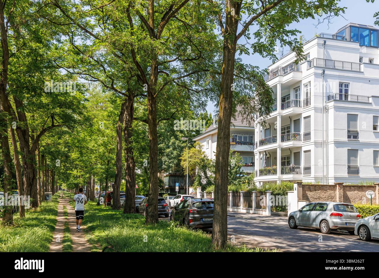 La riserva verde centrale di Volksgartenstrasse nel distretto di Neustadt-Sued, Colonia, Germania. Der gruene Mittelstreifen der Volksgartenstrasse in d Foto Stock