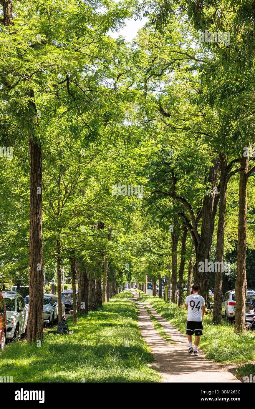 La riserva verde centrale di Volksgartenstrasse nel distretto di Neustadt-Sued, Colonia, Germania. Der gruene Mittelstreifen der Volksgartenstrasse in d Foto Stock
