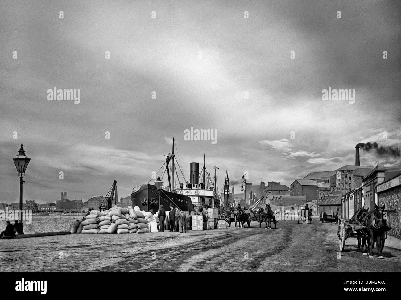 Una fotografia dell'inizio del XX secolo del carico scaricato dal cargo "Wyoming" ormeggiato alle banchine che costeggiano il fiume Shannon a Limerick City, Irlanda. Foto Stock