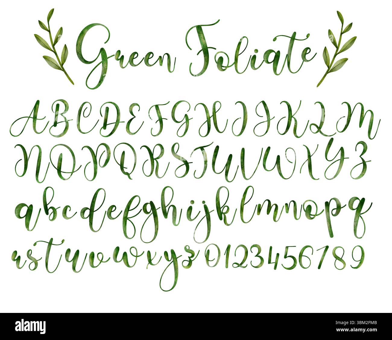 Elegante alfabeto verde ad acquerello dipinto a mano con lettere maiuscole, minuscole e numeri. Perfetto per inviti, biglietti d'auguri, desi botanici Illustrazione Vettoriale