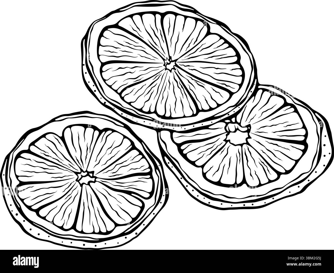 Tre fette di arancia secche allineano le immagini Illustrazione Vettoriale