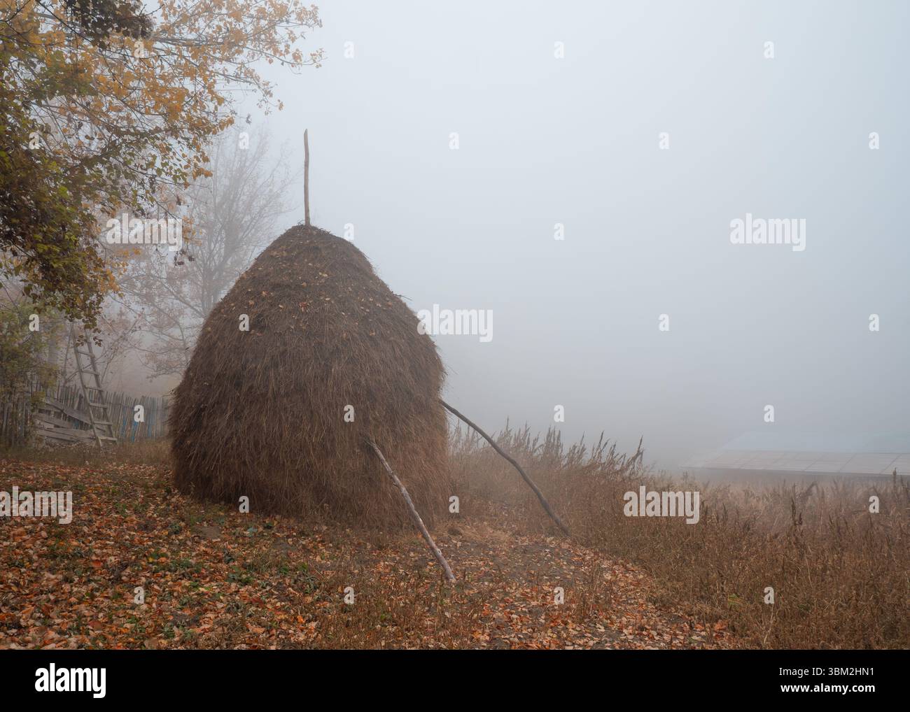 Tradizionale pila di fieno nel campo rurale nebbioso con alberi autunnali che creano un'atmosfera di campagna Foto Stock