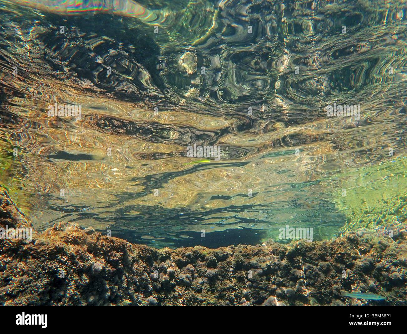 Motivazione, pensieri, sentimenti, filosofia, domanda, esistenza, ragione, conoscenza, mente, Psicologia, mente Foto Stock