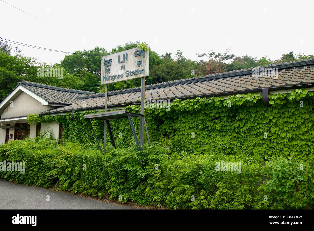 Namyangju, Corea del Sud - 19 maggio 2025: Vigne lussureggianti salgono sul muro esterno della stazione di Neungnae, un'ex fermata della linea Gyeongchun che ora serve ciclisti e vi Foto Stock