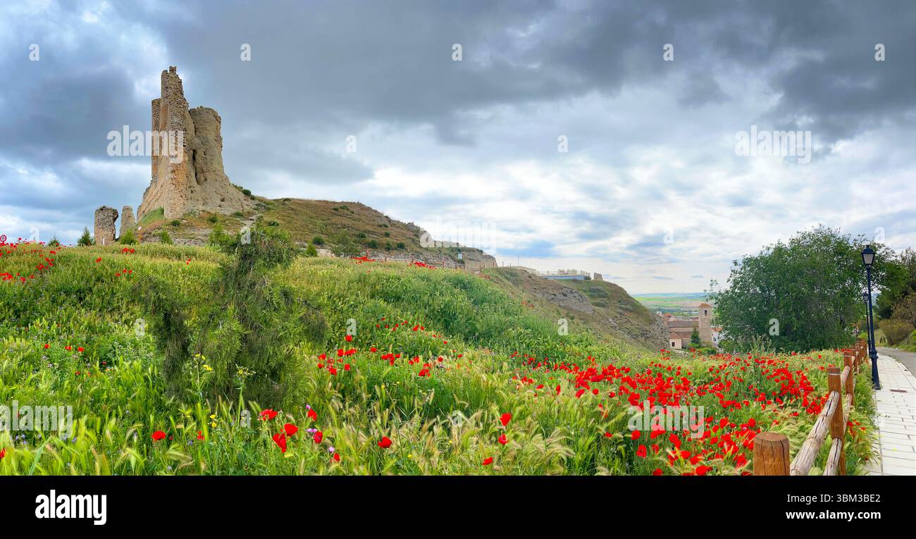 Castello e villaggio, vista panoramica. Fuentidueña de Tajo, provincia di Madrid, Spagna. - Immagine stock catturata con smartphone