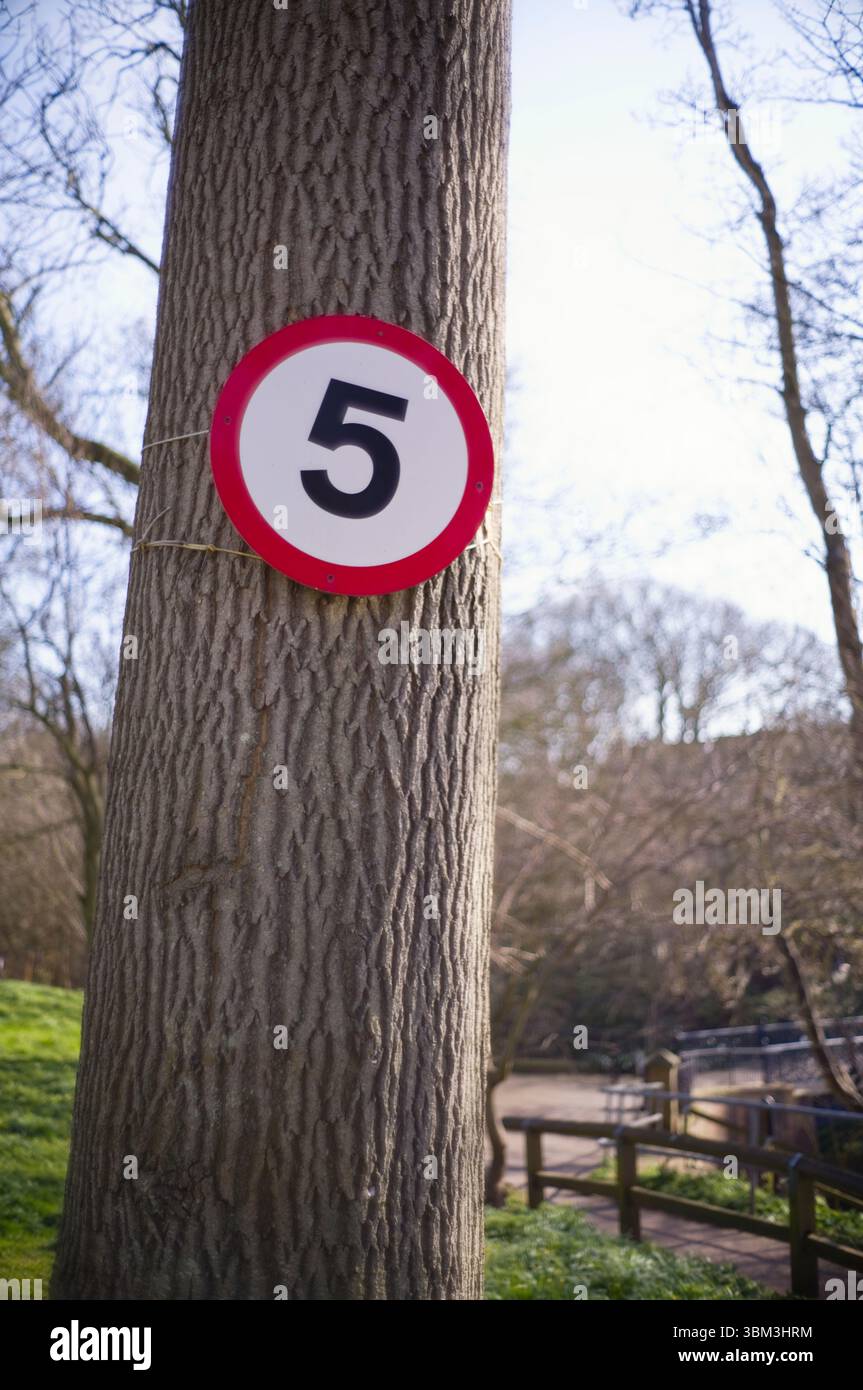 Un albero con il segno di 5 mph legato ad un albero Foto Stock