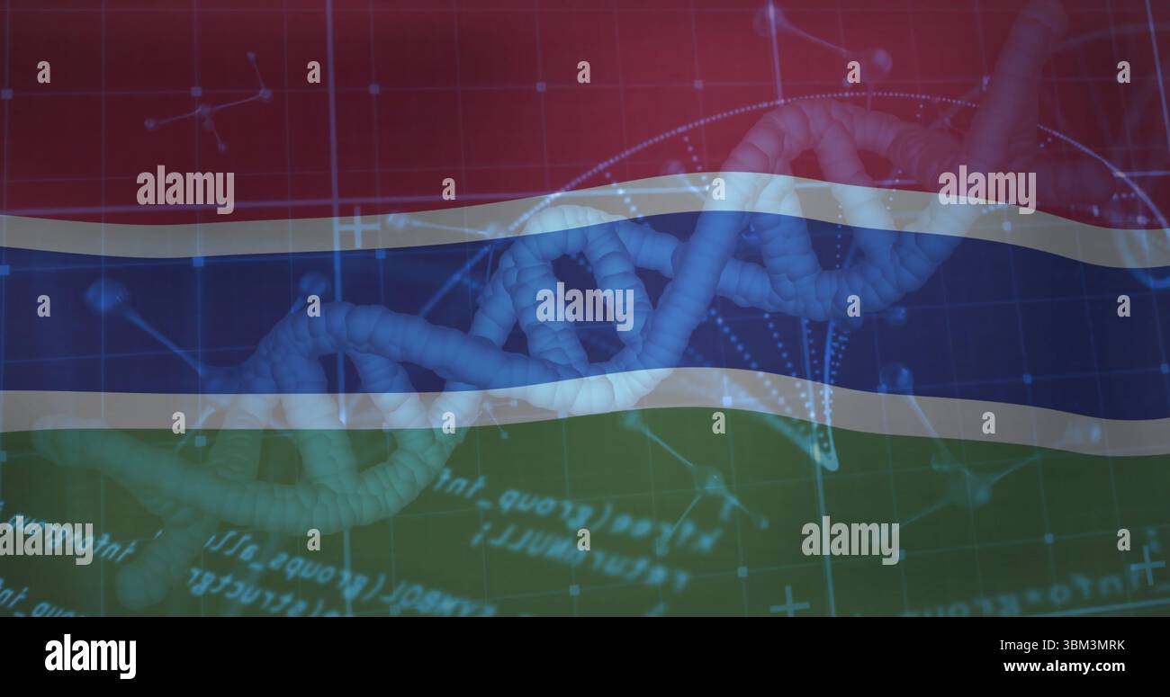 Tessitura di DNA a doppia elica attraverso strisce a bandiera in design grafico, con modelli molecolari Foto Stock