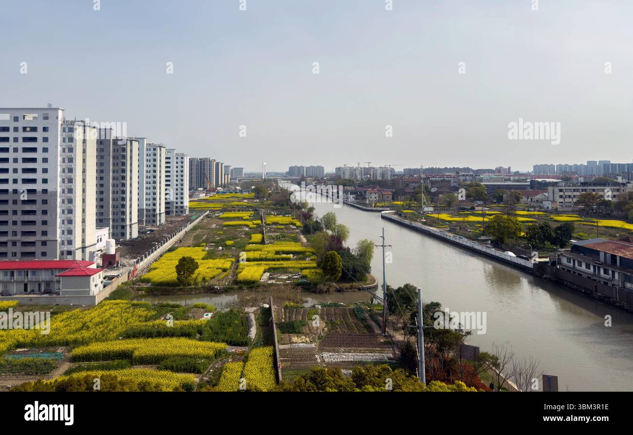 Attraversa il paesaggio urbano e rurale della Cina, campi di fiori di colza gialli, alti edifici residenziali Foto Stock