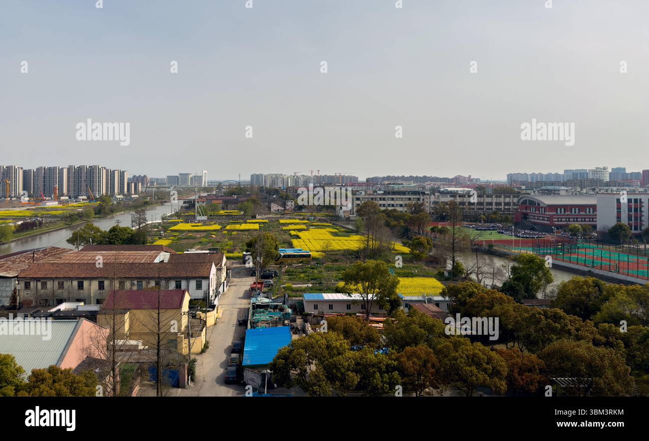 Attraversa il paesaggio urbano e rurale della Cina, campi di fiori di colza gialli, alti edifici residenziali Foto Stock