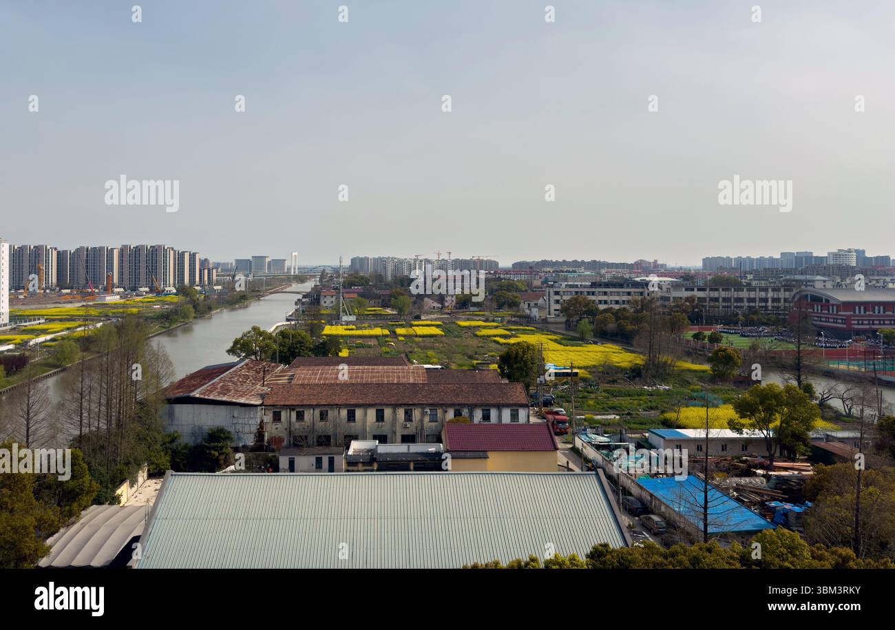 Attraversa il paesaggio urbano e rurale della Cina, campi di fiori di colza gialli, alti edifici residenziali Foto Stock