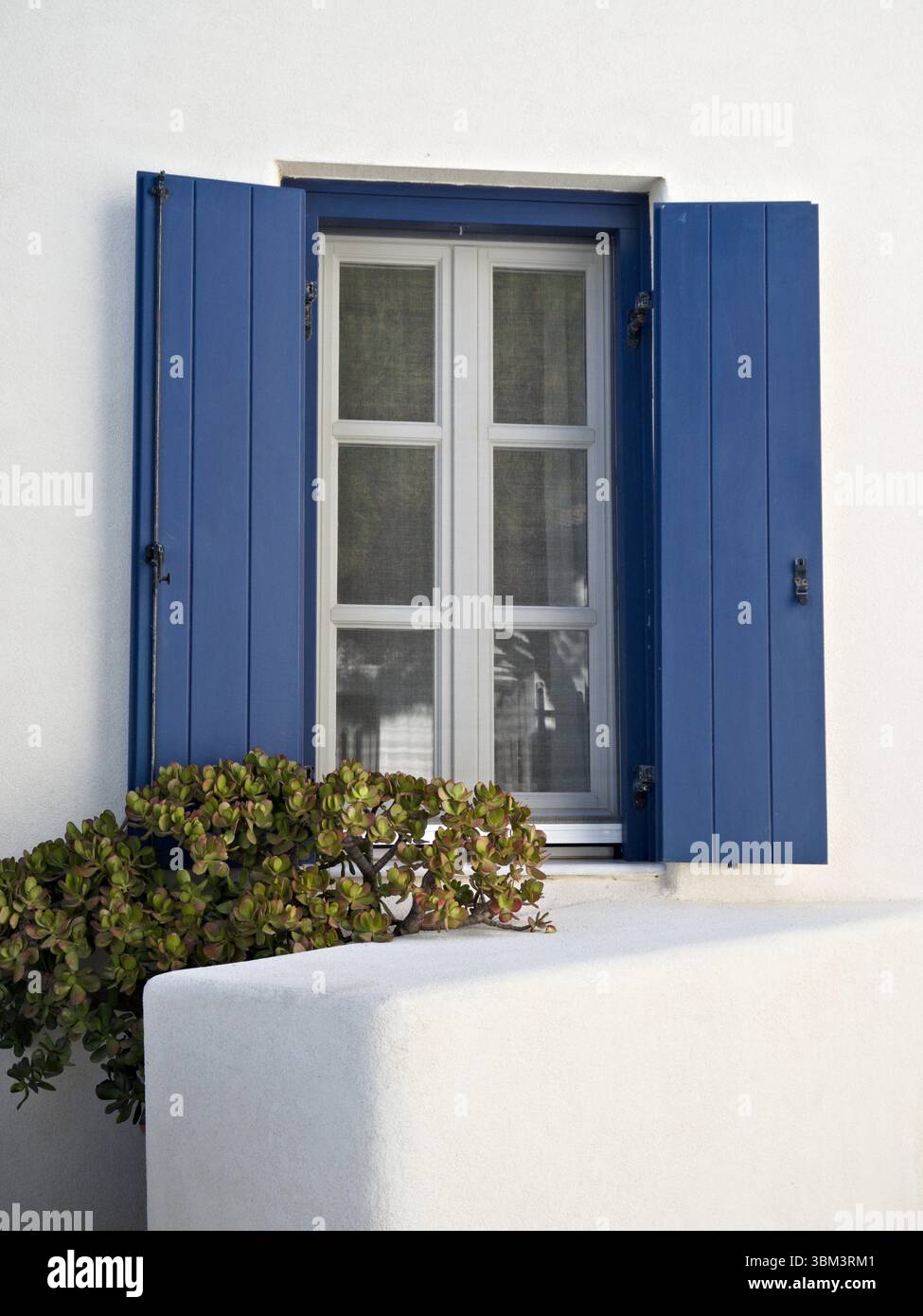 Facciata bianca con persiane aperte blu e una succulenta vaschetta sotto la finestra, semplicità e fascino mediterranei. Foto Stock