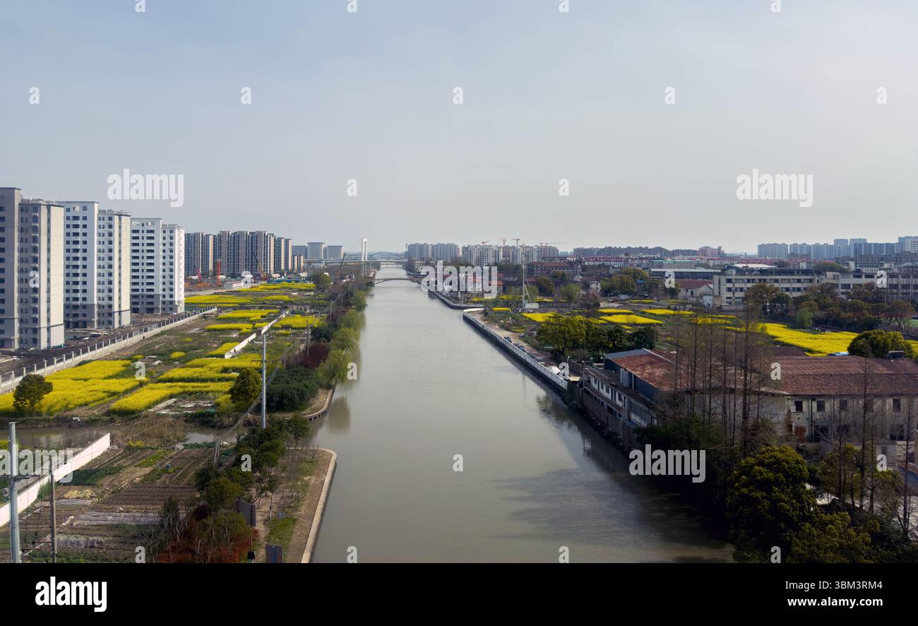 Attraversa il paesaggio urbano e rurale della Cina, campi di fiori di colza gialli, alti edifici residenziali Foto Stock