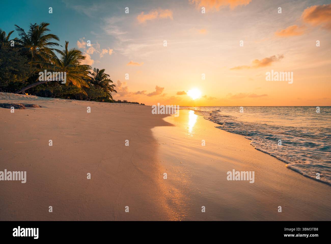 Isola tropicale, paesaggio naturale, spiaggia panoramica con palme, mare, sabbia, orizzonte, tramonto dorato, cielo, atmosfera tranquilla, vacanze estive panoramiche Foto Stock