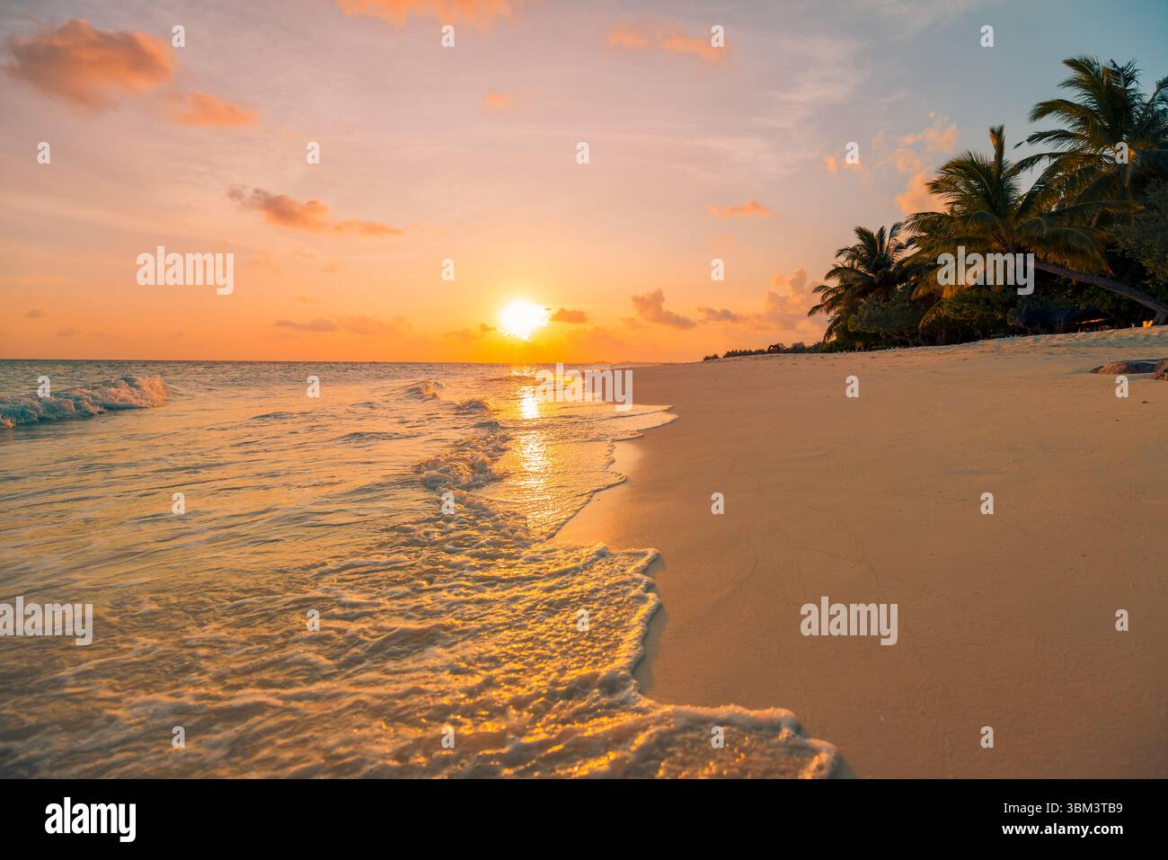Isola tropicale, paesaggio naturale, spiaggia panoramica con palme, mare, sabbia, orizzonte, tramonto dorato, cielo, atmosfera tranquilla, vacanze estive panoramiche Foto Stock