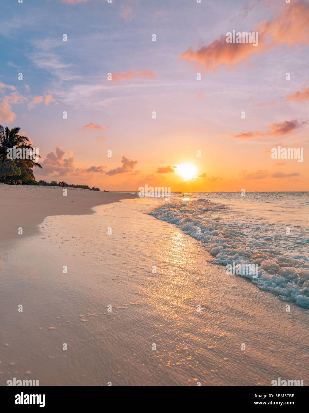 Isola tropicale, paesaggio naturale, spiaggia panoramica con palme, mare, sabbia, orizzonte, tramonto dorato, cielo, atmosfera tranquilla, vacanze estive panoramiche Foto Stock