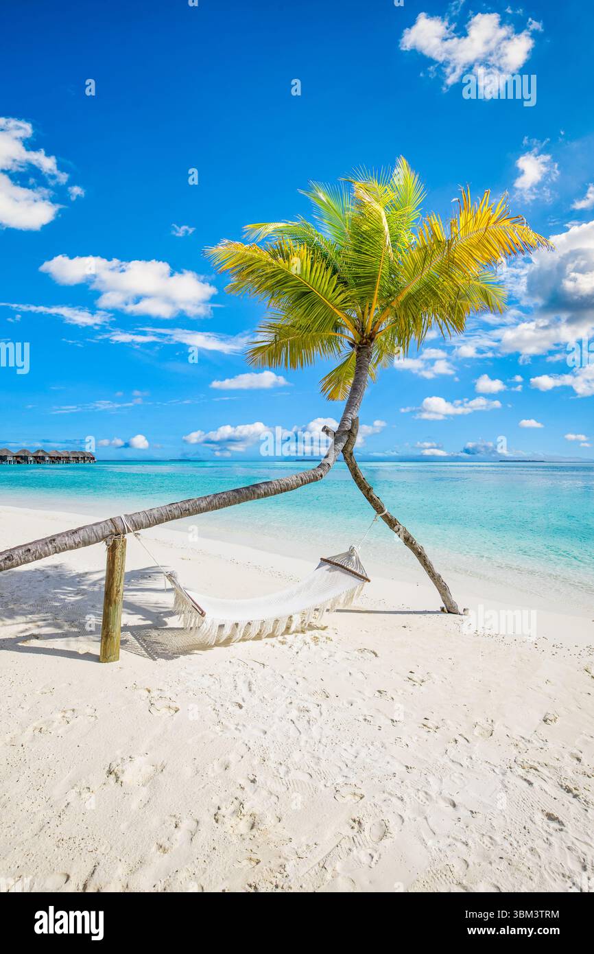 Pittoresca spiaggia panoramica estiva altalena amaca palme soleggiate rilassanti atmosfere tropicali destinazione di lusso tranquillo viaggio di piacere panoramico Foto Stock