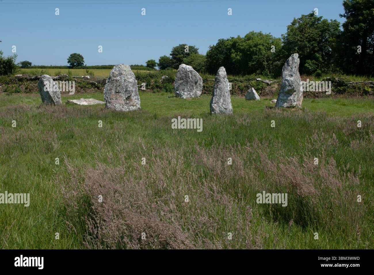 Duloe Stone Circle, Cornovaglia, Inghilterra Foto Stock