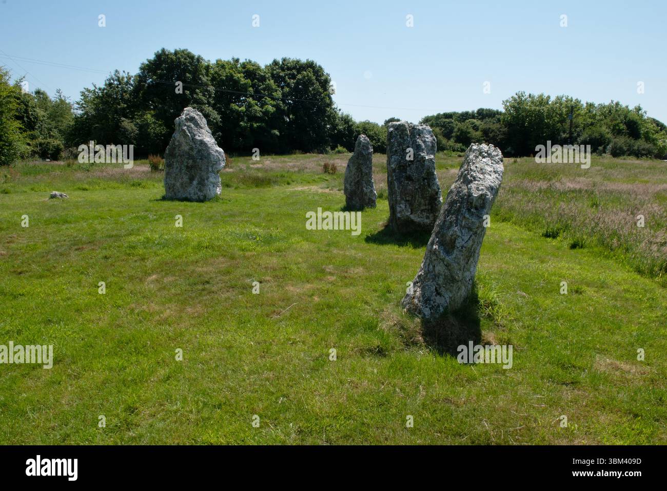 Duloe Stone Circle, Cornovaglia, Inghilterra Foto Stock