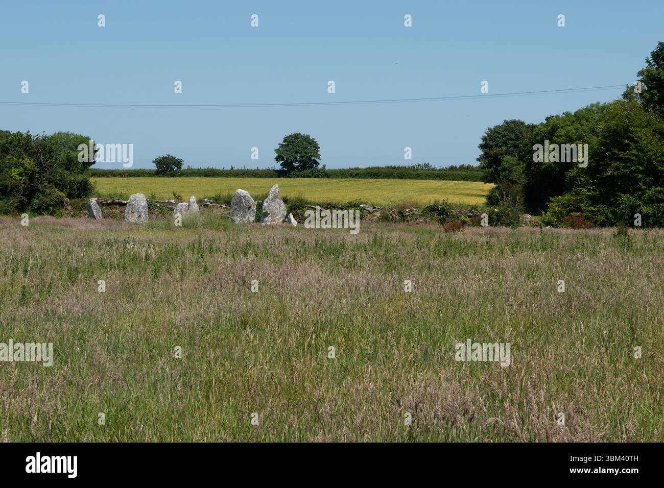 Duloe Stone Circle, Cornovaglia, Inghilterra Foto Stock