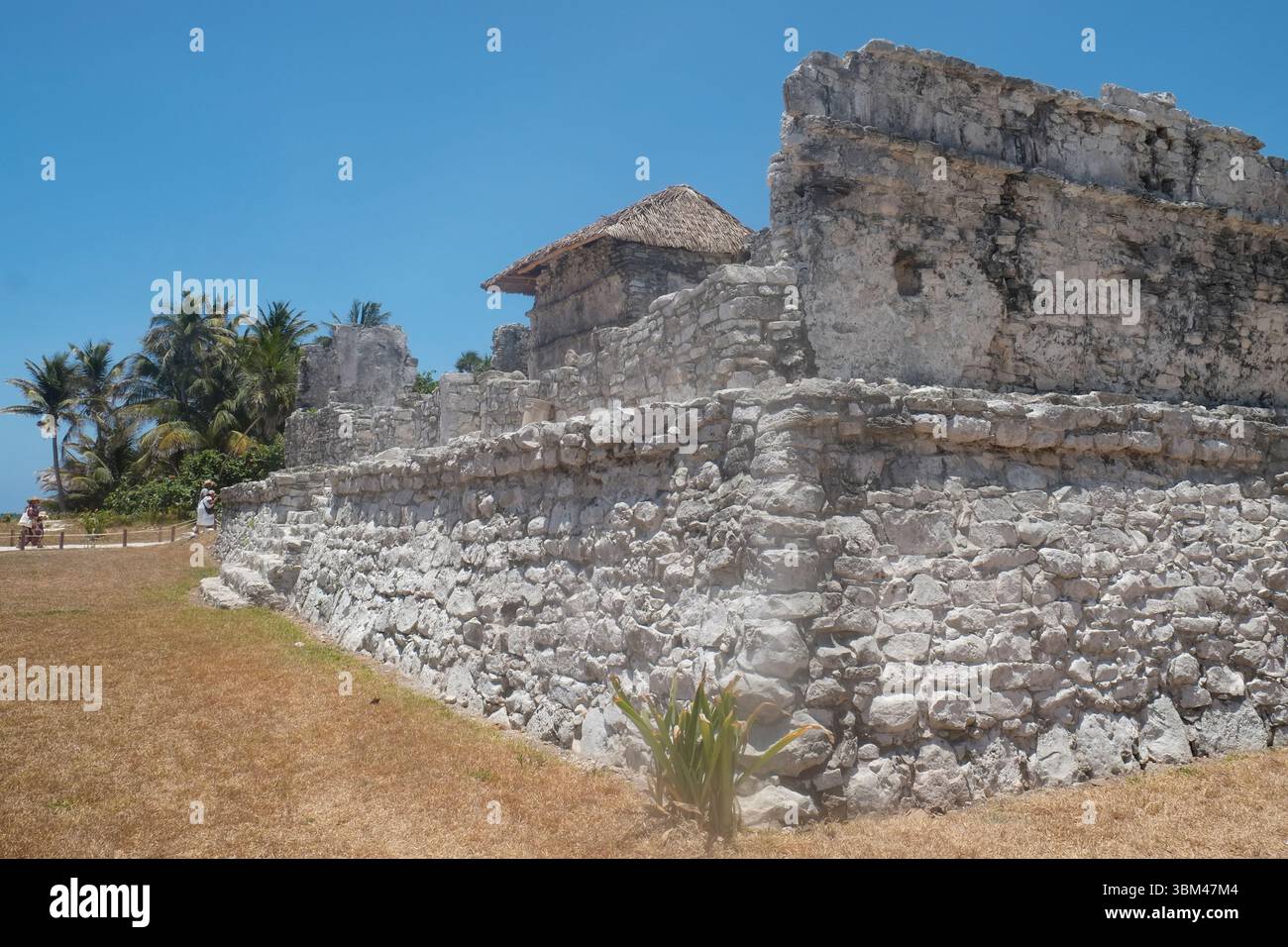 Tulum, Messico. Rovine Maya e tempio Foto Stock