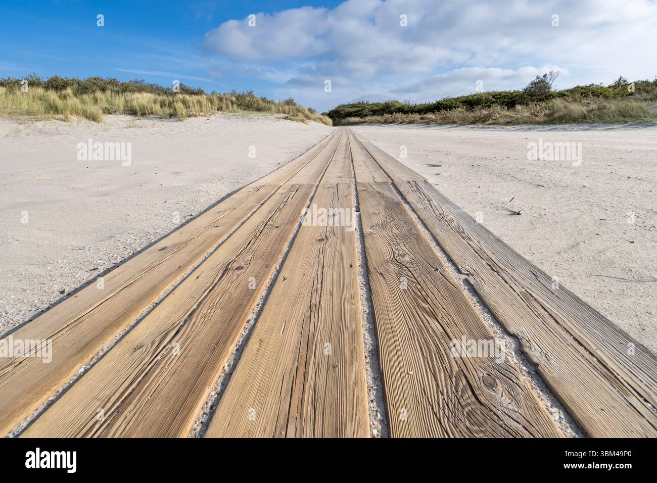 Sentiero in legno attraverso le dune della costa del Mare del Nord in Zelanda, Paesi Bassi Foto Stock