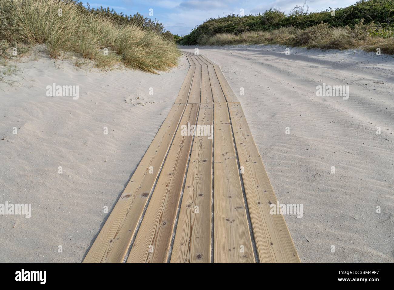 Sentiero in legno attraverso le dune della costa del Mare del Nord in Zelanda, Paesi Bassi Foto Stock