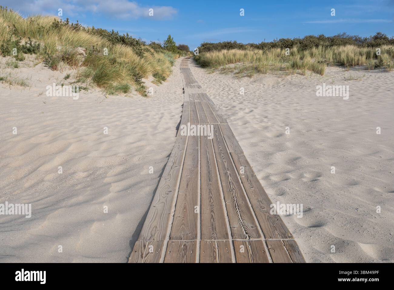Sentiero in legno attraverso le dune della costa del Mare del Nord in Zelanda, Paesi Bassi Foto Stock