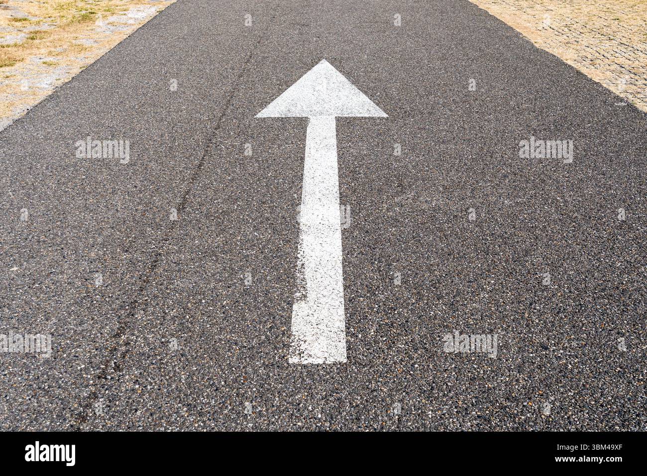 freccia sempre dritto su asfalto Foto Stock