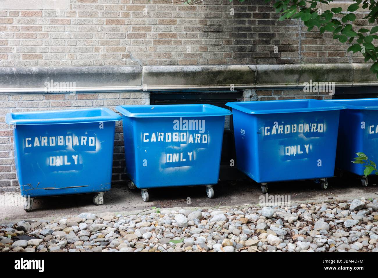 Diversi contenitori blu etichettati per il riciclo del cartone si trovano accanto a una parete di mattoni, circondati da ciottoli e vegetazione. Foto Stock