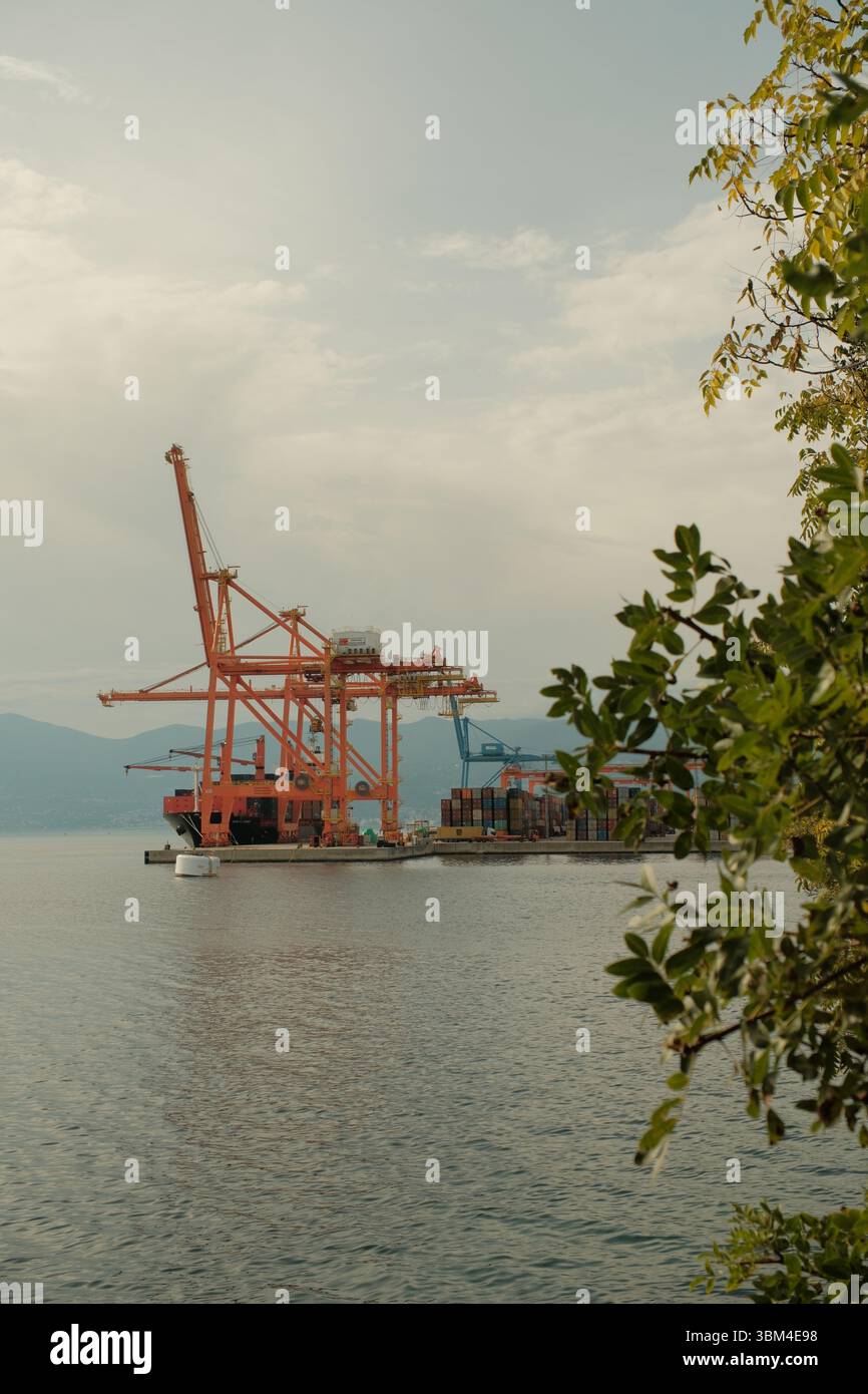 Le gru di colore arancione e blu si aprono su un vivace terminal container dell'Adriatico e le loro forme geometriche contrastano nettamente. Foto Stock