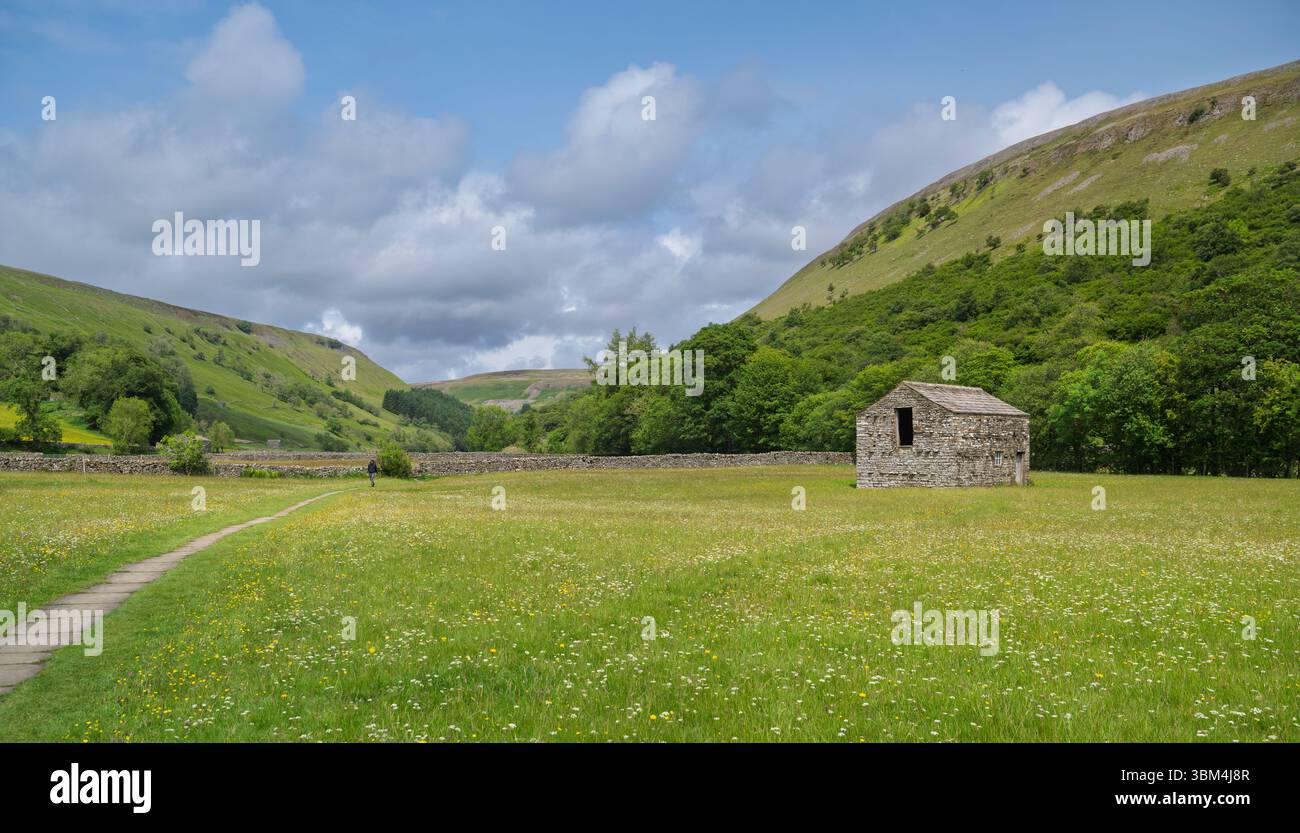 Vecchio fienile tradizionale in pietra, localmente conosciuto come casa di mucche, in un prato di fiori selvatici vicino a Muker, Swaledale. Yorkshire Dales National Park, Regno Unito. Foto Stock