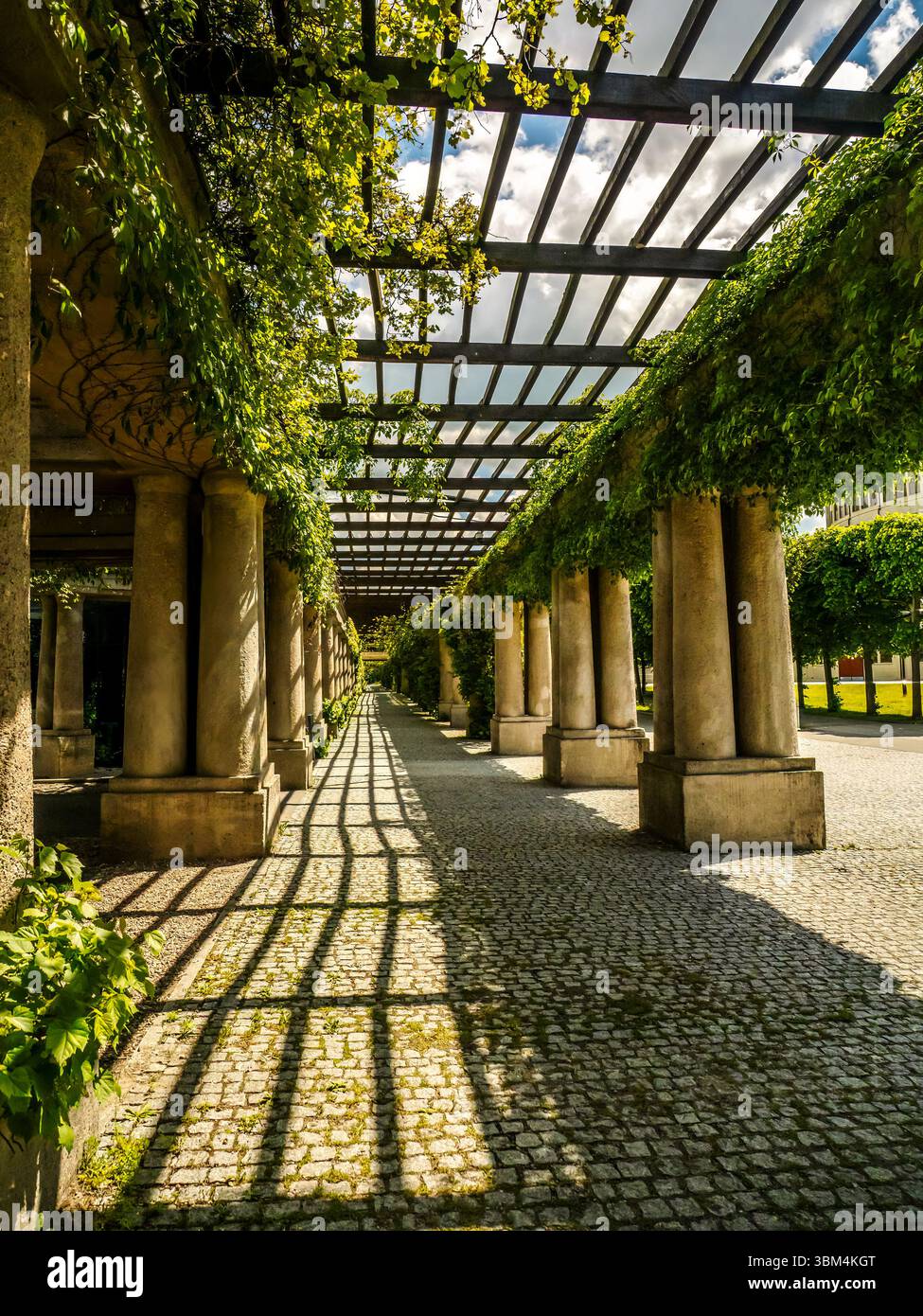 Un vibrante pergolato verde con luce del sole che scorre attraverso, caratterizzato da lussureggiante vegetazione e imponenti colonne di pietra in un tranquillo giardino. Foto Stock