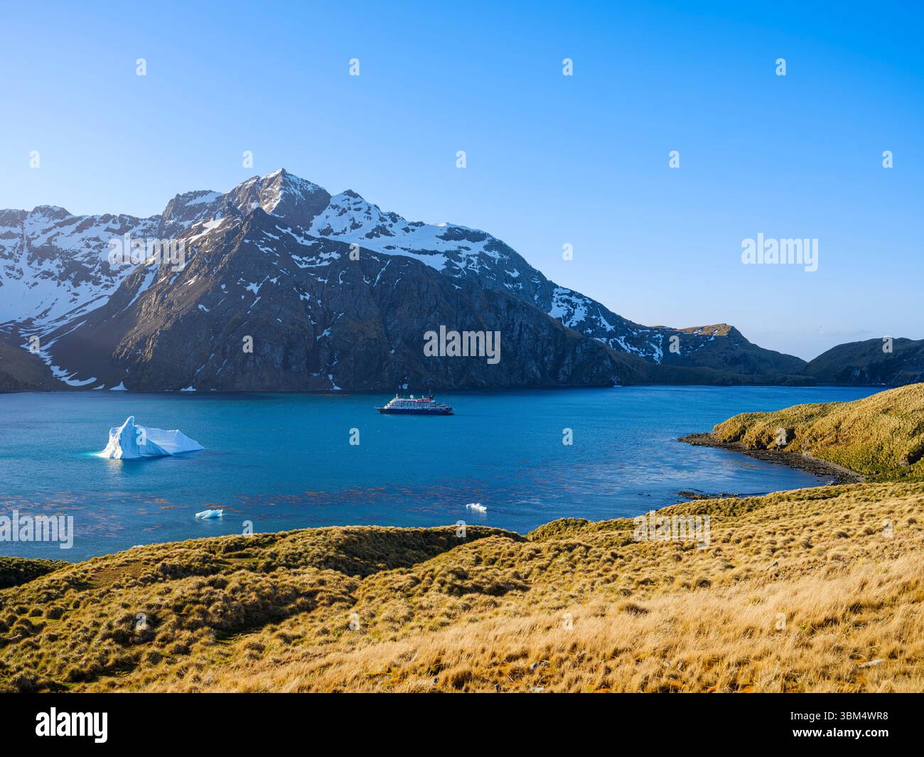 Paesaggio con nave da crociera a Godthul. Antartide, Subantartico, Georgia del Sud. (Solo per uso editoriale) Foto Stock