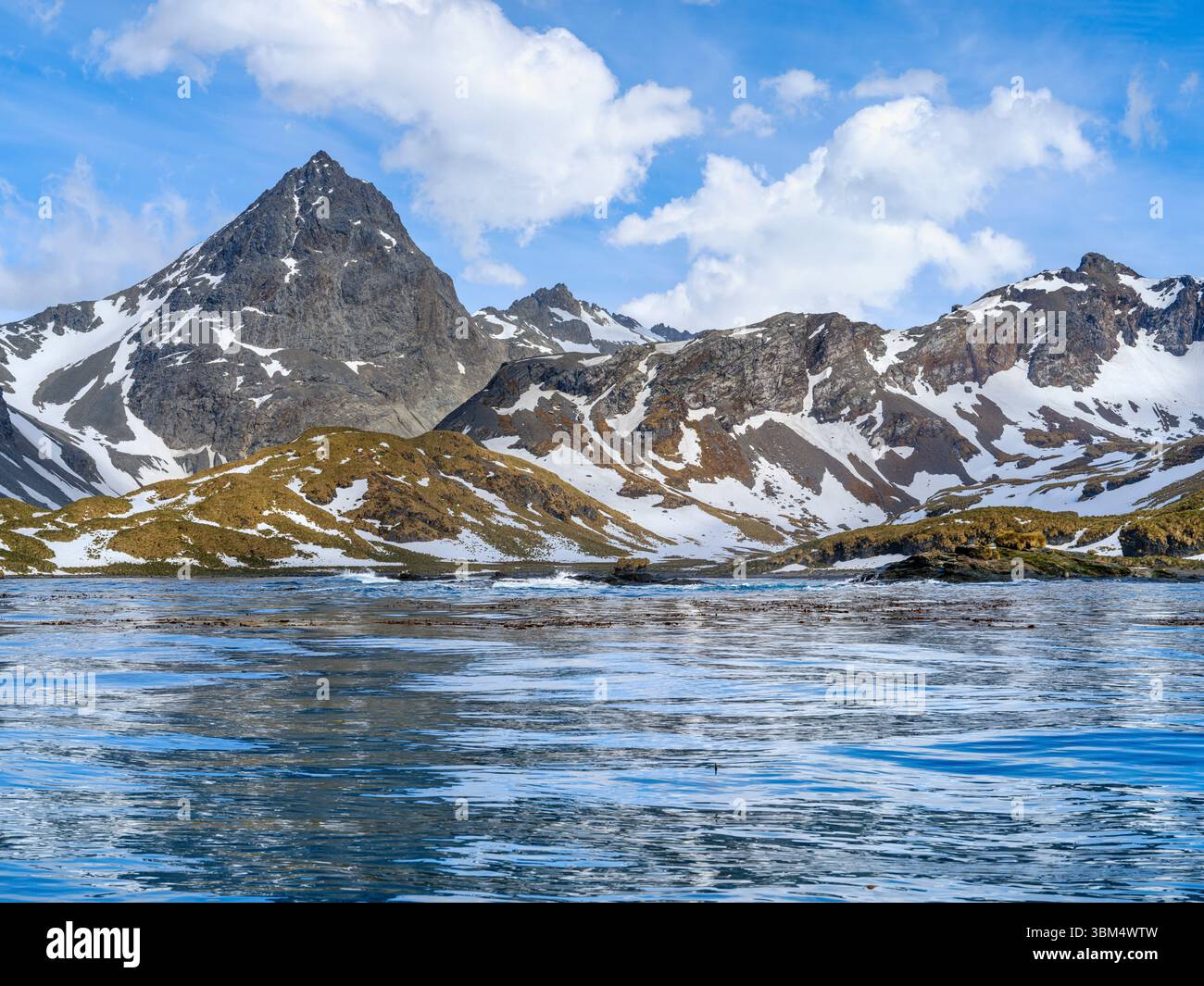 Costa nella Cooper Bay durante. Antartide, Subantartico, Georgia del Sud. Foto Stock