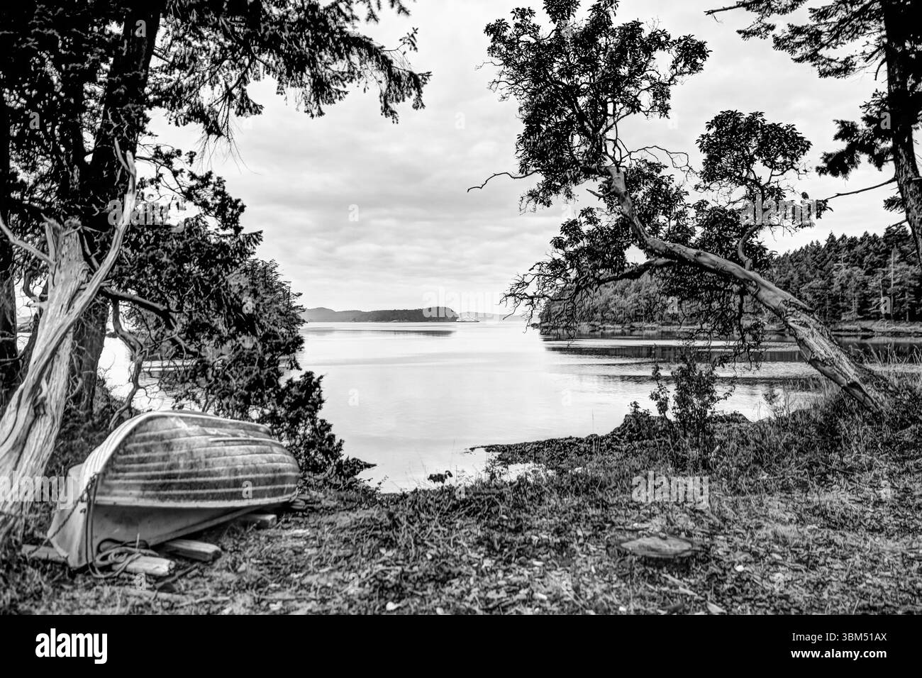 Paesaggio bianco e nero sulla costa di una piccola isola nell'arcipelago delle isole Gulf della Columbia Britannica Foto Stock