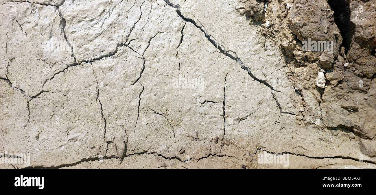 Sotto la dura luce del sole, la terra crepata e asciutta dimostra il grave impatto della siccità sulla salute del suolo e sull'agricoltura in questo paesaggio arido. Foto Stock