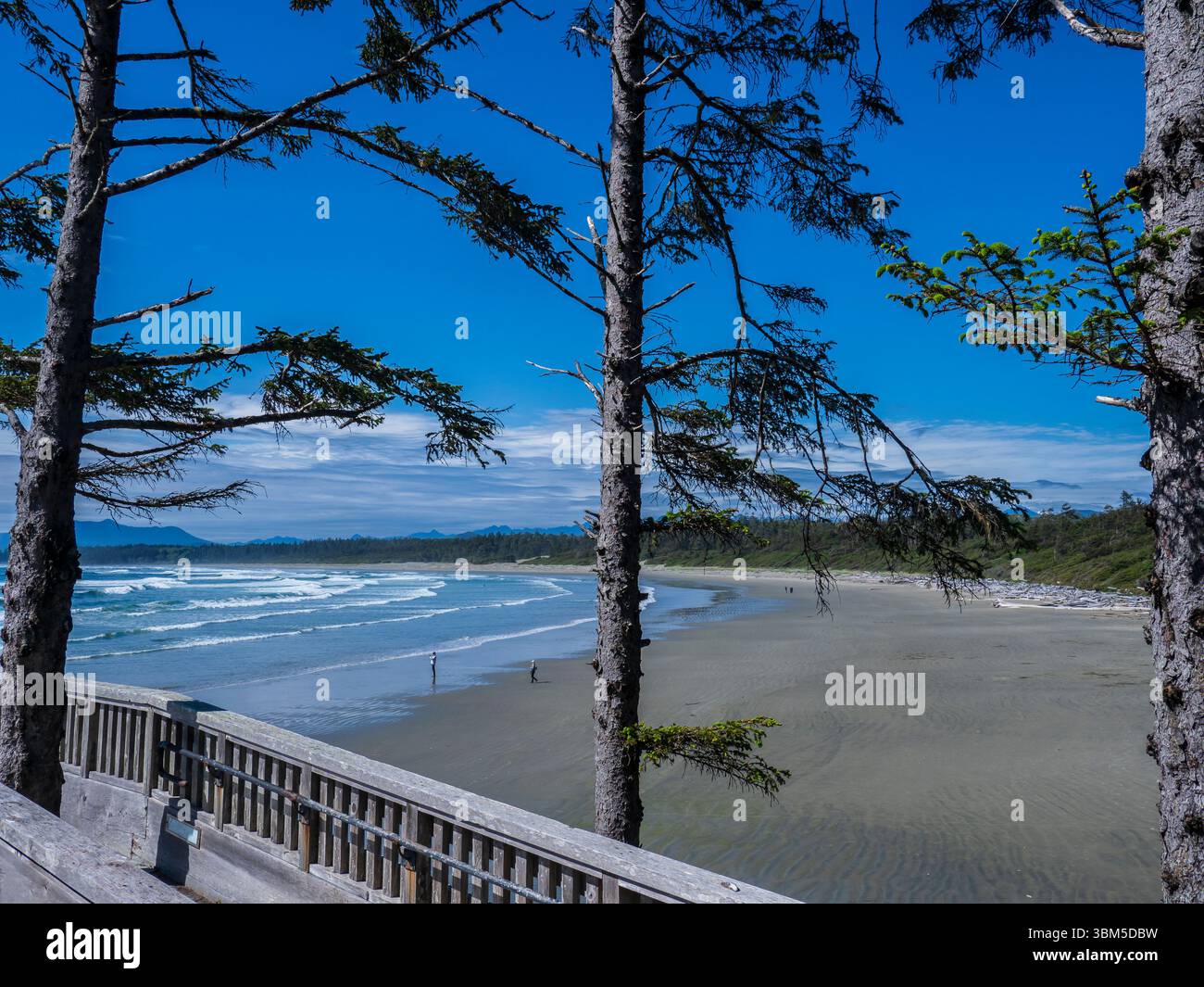 Wickaninnish Beach dal centro visitatori di Kwisitis, Pacific Rim National Park, British Columbia, Canada. Foto Stock