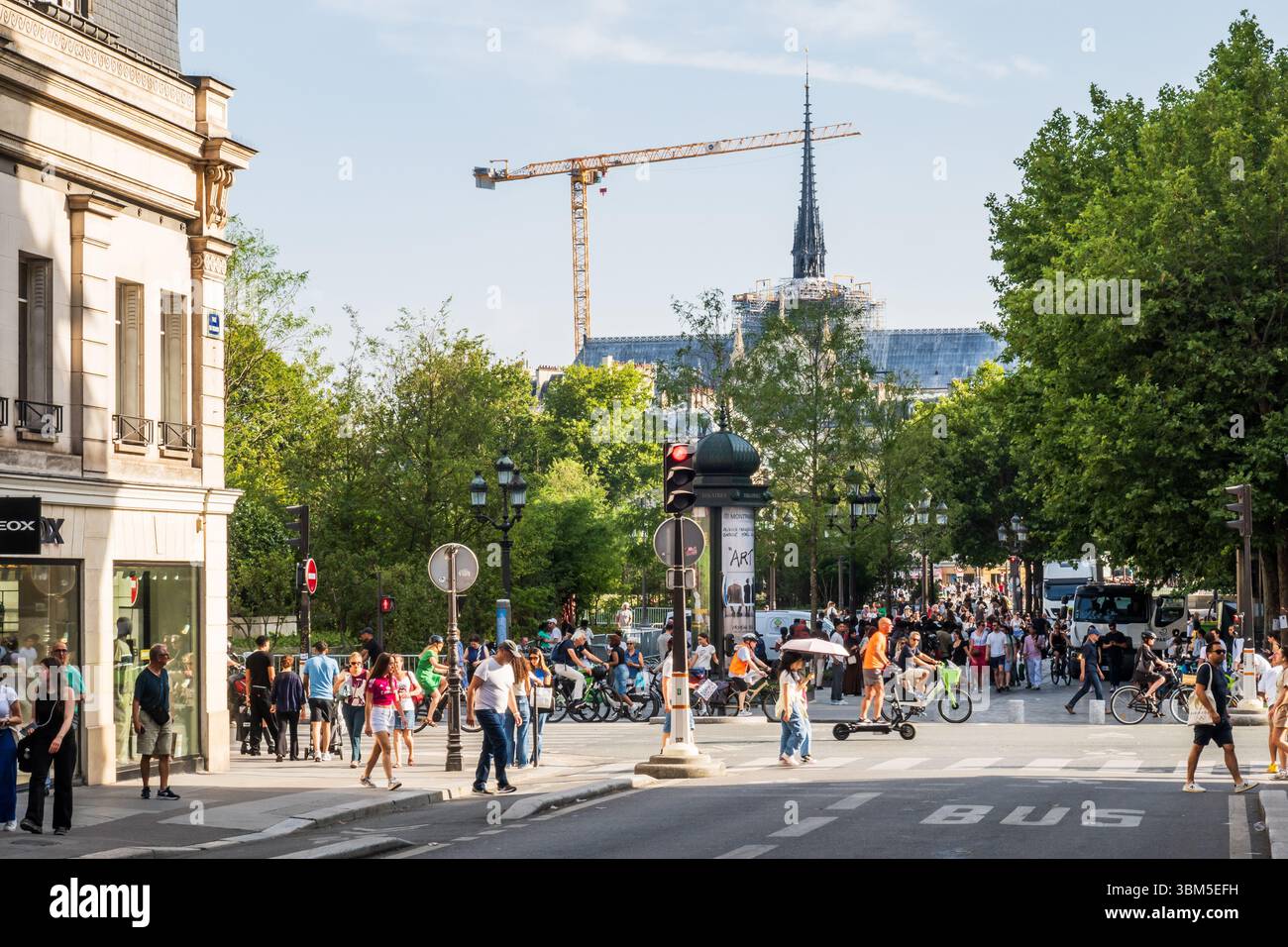 Parigi, Francia - 22 giugno 2025: Completata la ricostruzione della cattedrale di Notre-Dame a Parigi fotografata dalla Rue du Renard in pieno giorno, Foto Stock