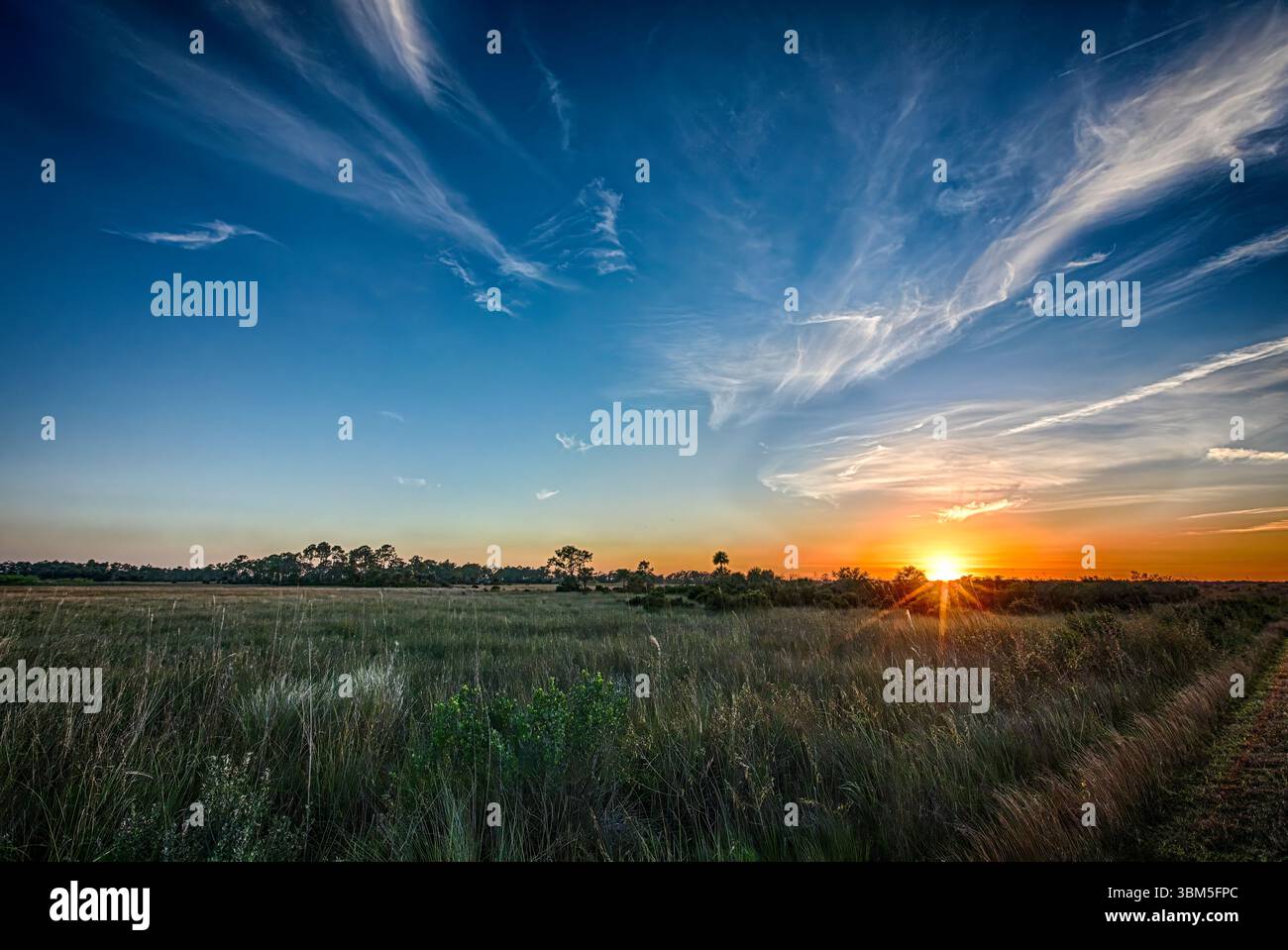 Il sole che tramonta sulla Big Cypress National Preserve proietta una calda luce sul paesaggio della prateria. Foto Stock