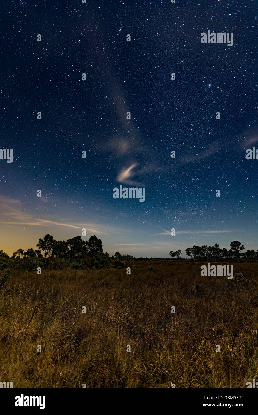 Una lunga esposizione notturna rivela non solo le stelle e la prateria illuminata dalla luna, ma anche le tracce dei fulmini verdi. Contea di Collier, Florida. Foto Stock
