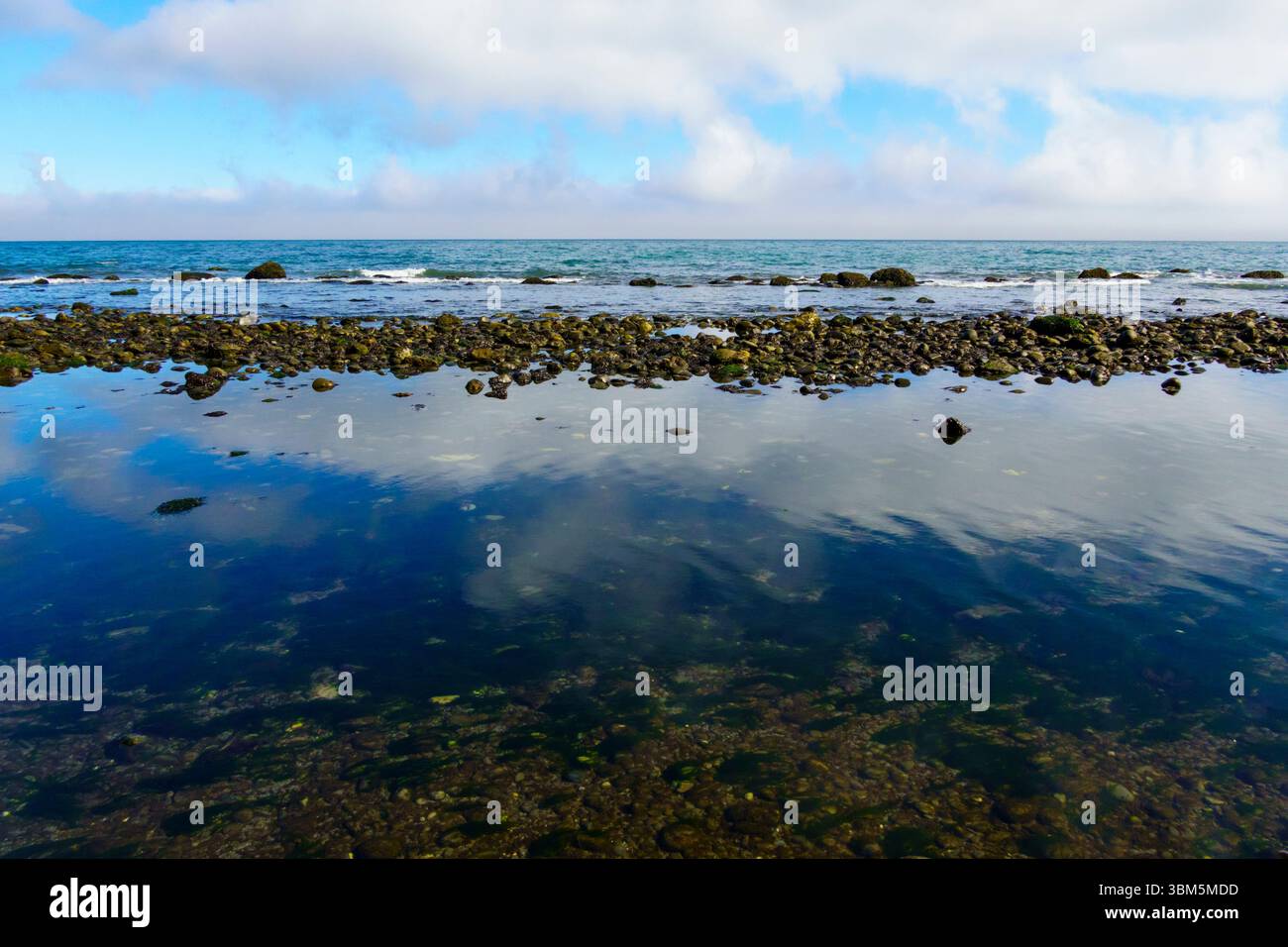 Bassa marea, Freshwater Bay Beach, Port Angeles, Stato di Washington, Stati Uniti. Foto Stock