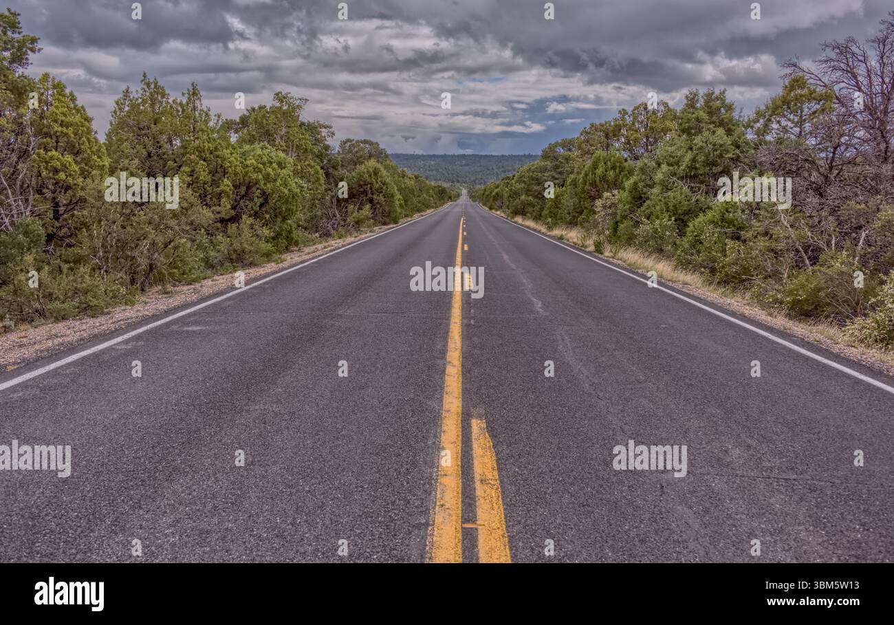 State Route 64 direzione ovest lungo il versante sud del Grand Canyon in Arizona. Foto Stock