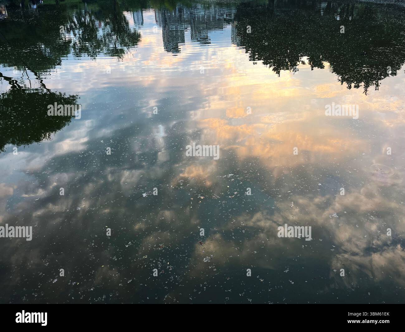 Alberi, edifici e nuvole si riflettono sulla superficie dell'acqua al tramonto. Foto Stock