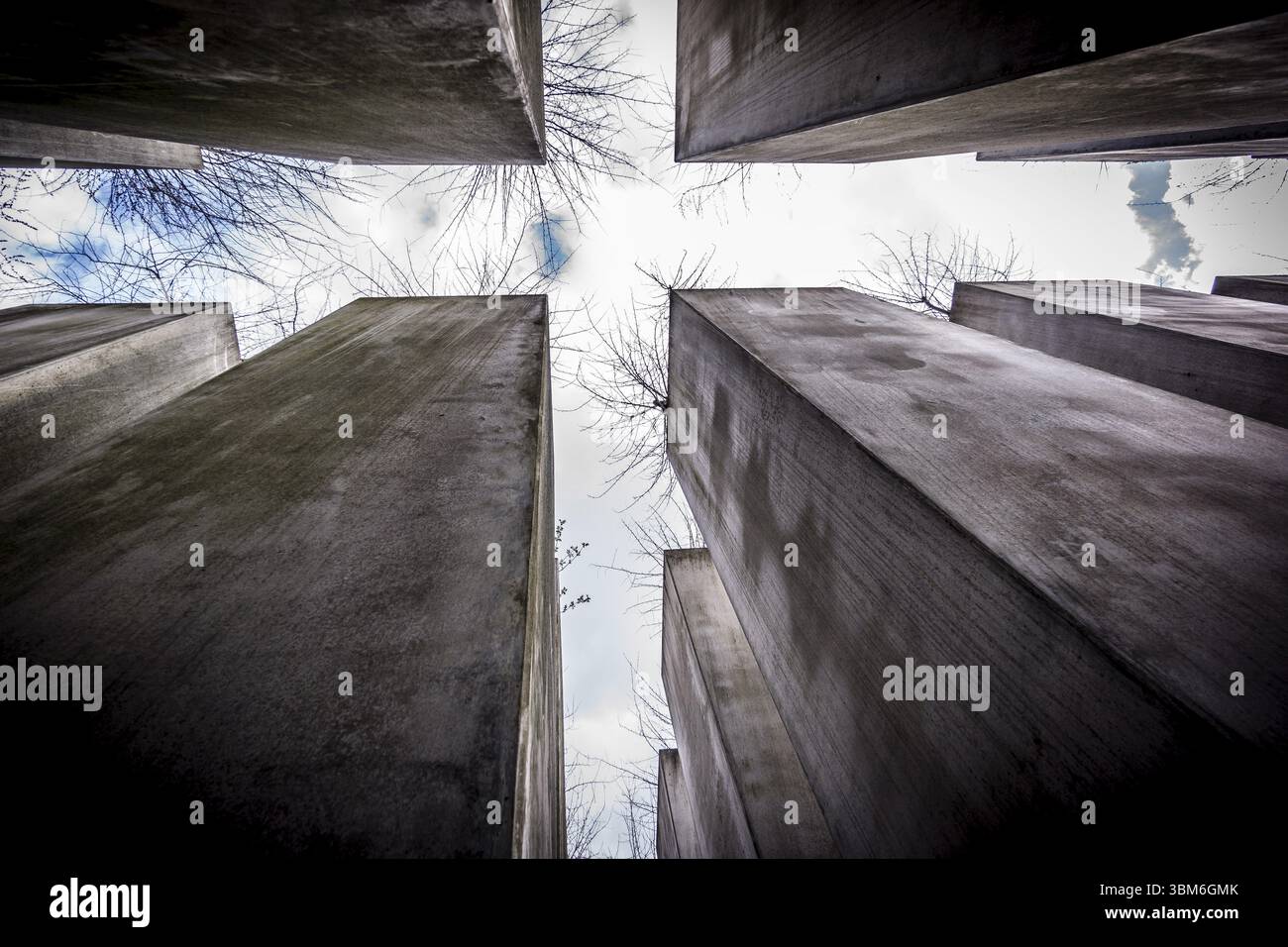 Exile Garden, Josef Hoffmann Garden, Museo Ebraico di Berlino, progettato dall'architetto polacco Daniel Libeskinds, Berlino, Germania, Europa Foto Stock
