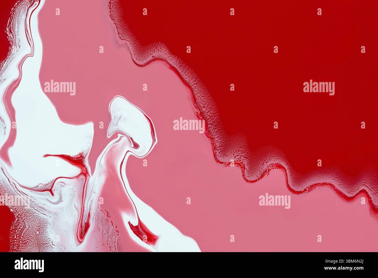 Liquido acrilico art. Crea ricci bianchi e onde rosse rosa. Sfondo o trama a spirale astratta Foto Stock