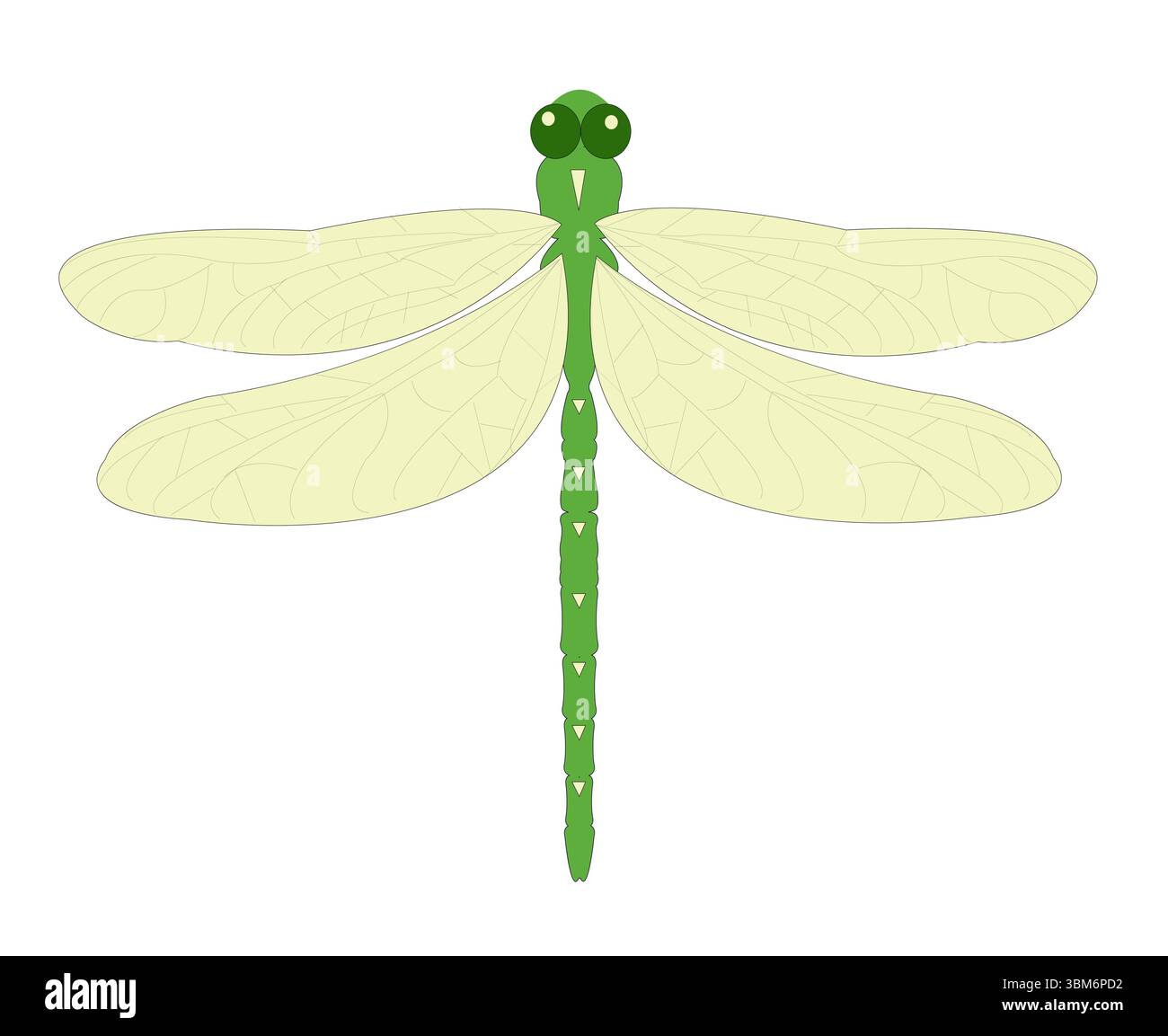 Libellula verde chiaro su sfondo bianco. Illustrazione vettoriale. Foto Stock