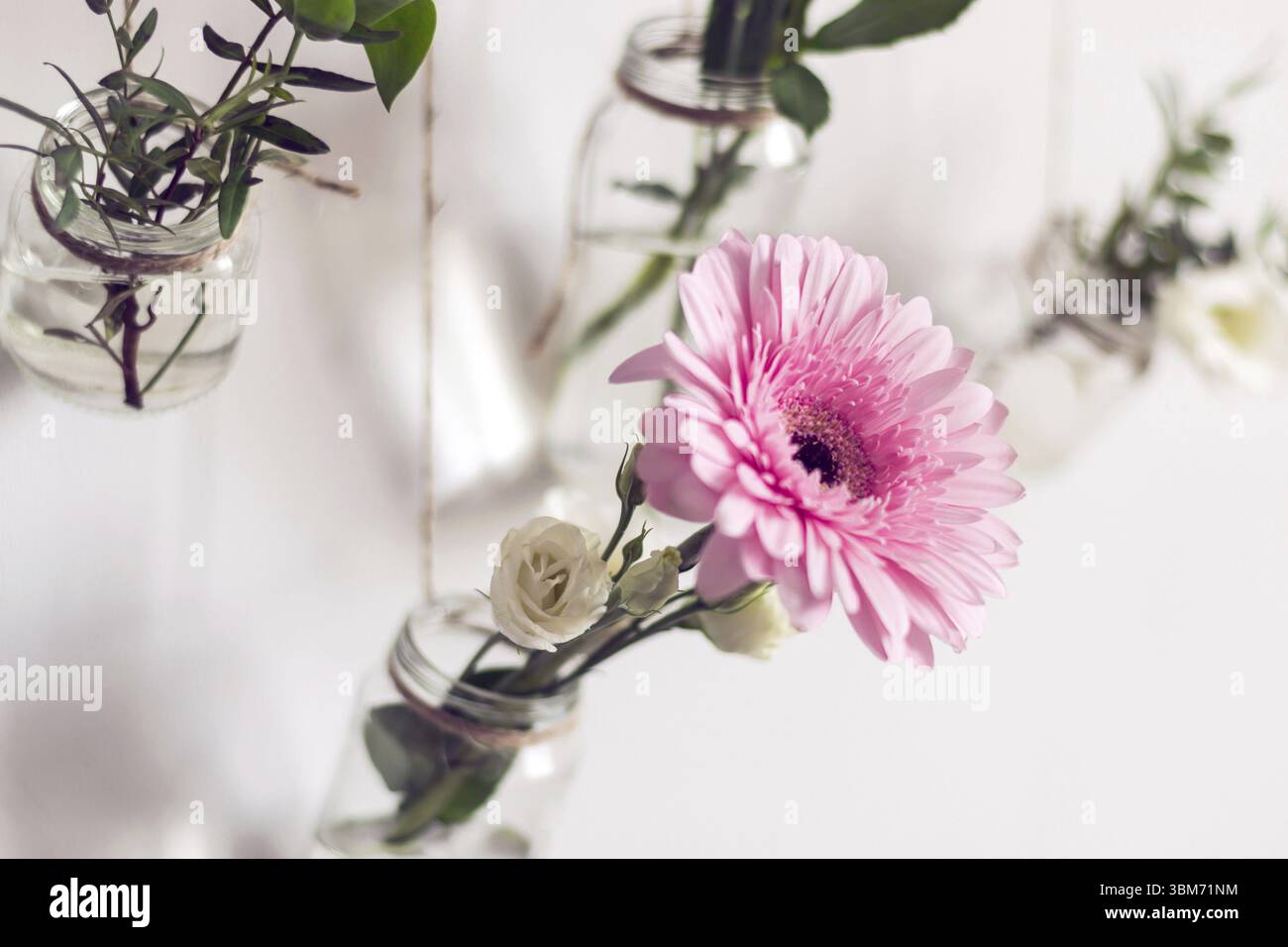 Bellissimi fiori appesi a una parete bianca. Decorazioni naturali fai da te. I vecchi vasi di vetro vengono riutilizzati come vasi di fiori Foto Stock